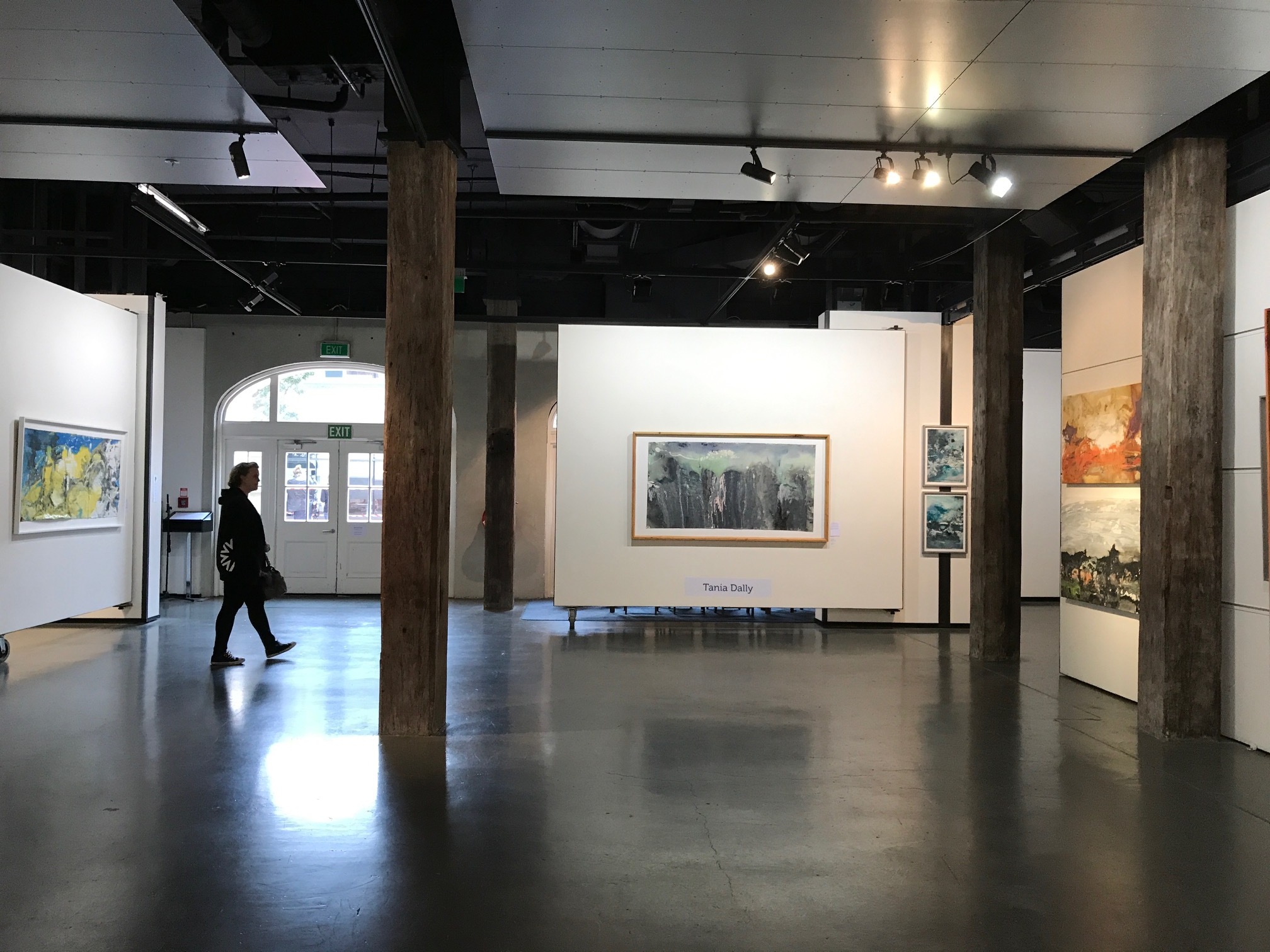 NZ Academy of Fine Arts Solo 42 Exhibition May 2017